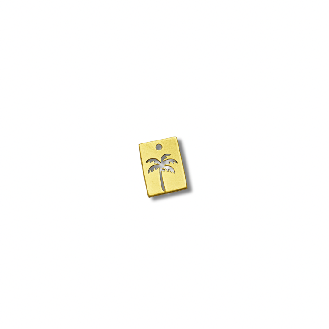 Palmita
