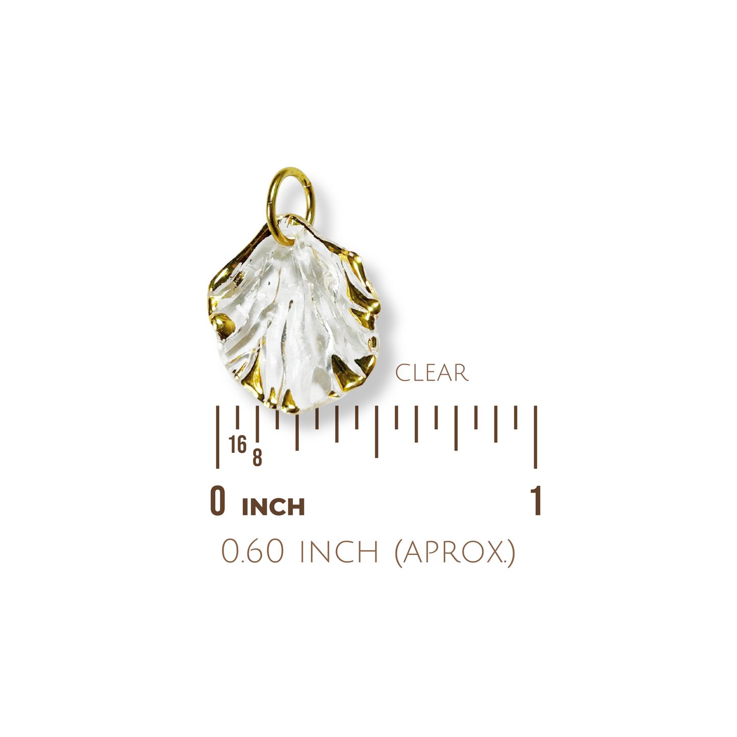 Plastic Clear Shell