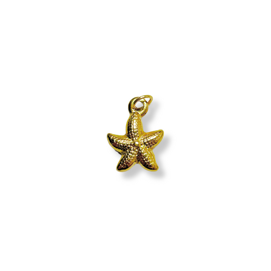 Mini Starfish