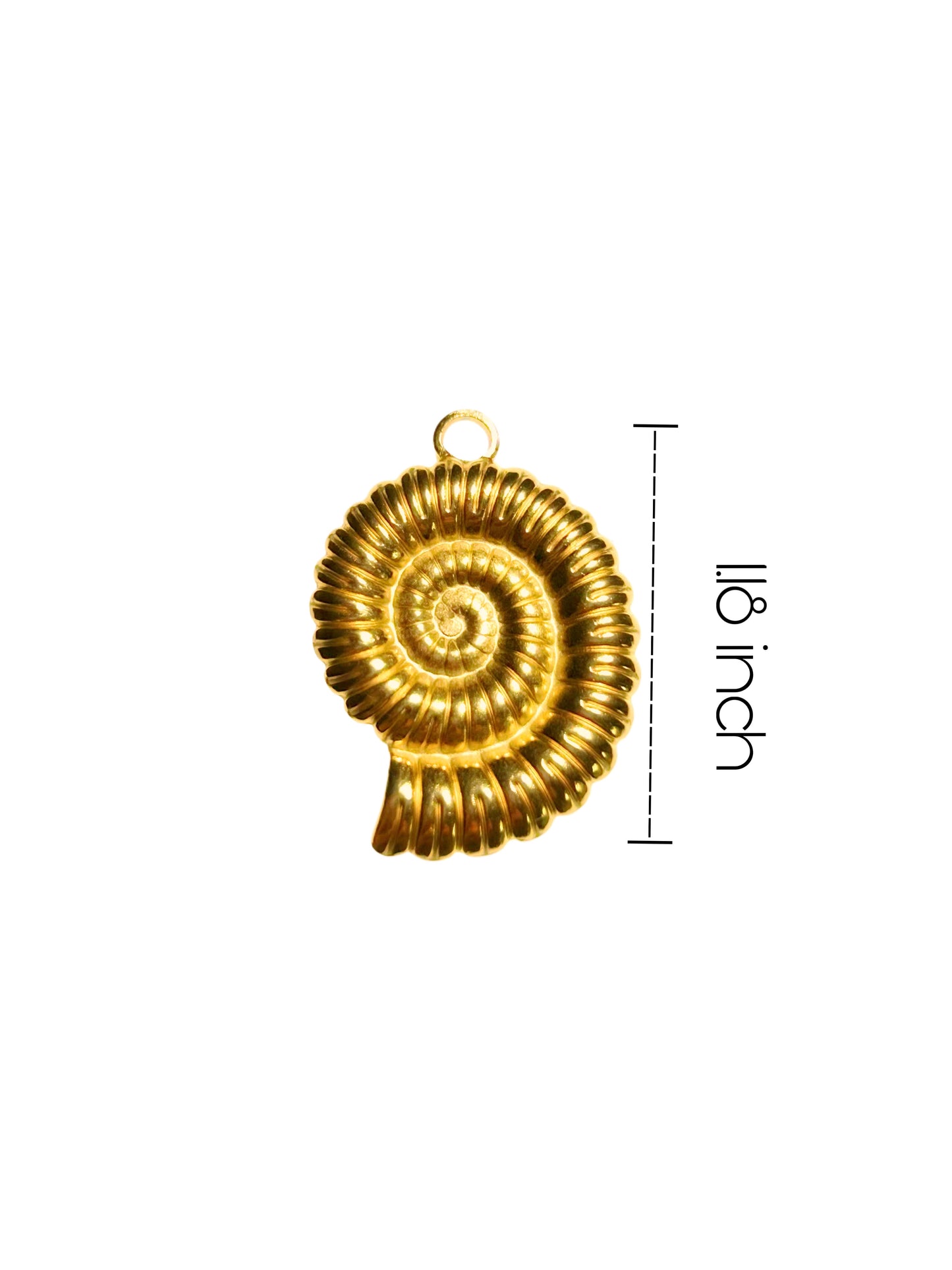 Fossil Charm