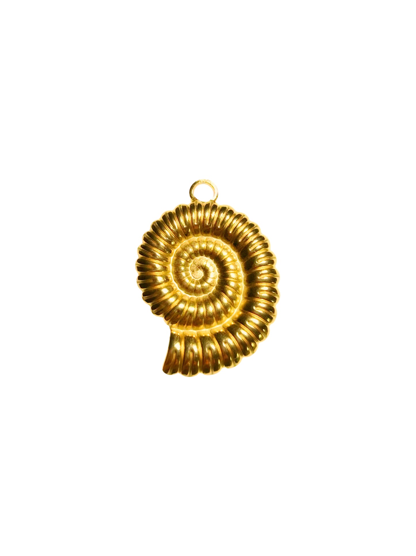 Fossil Charm