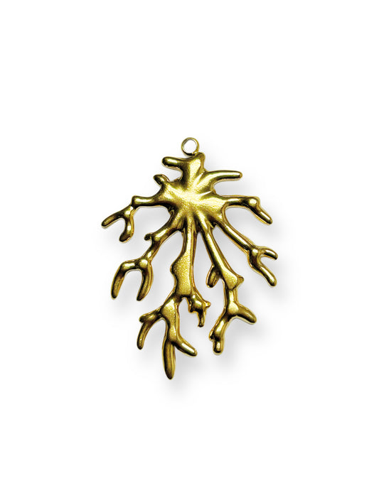 Coral Charm
