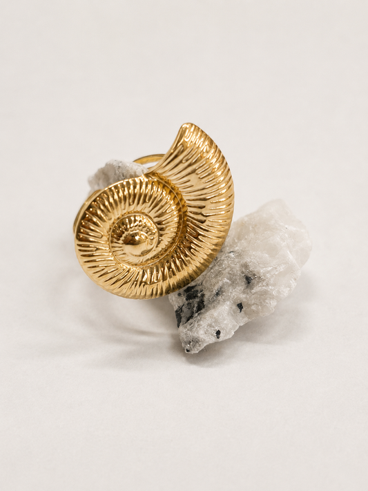 Anillo Caracola Maxi