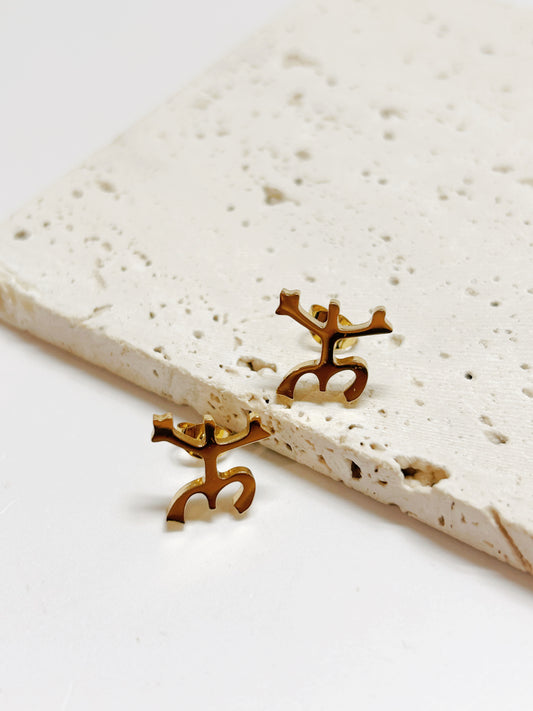 Aretes Coquí Taíno