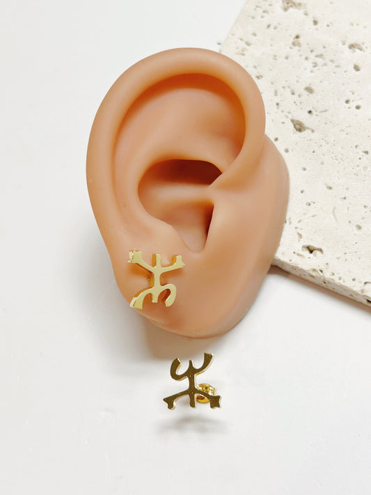 Aretes Coquí Taíno